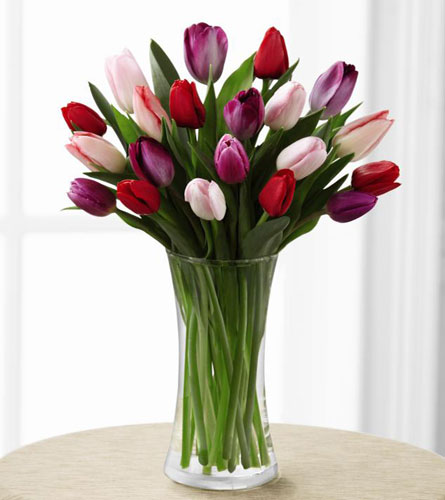Premium Tender Tulips Bouquet
